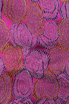 Fabric - Blossom Rose Brocade (Multicolor)