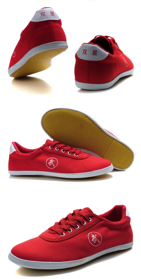 Wushu/TaiChi Practice Sneakers (Canvas)