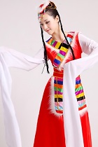 Chinese Ethnic Dancing Costume - Zang Zu (Tibetan)