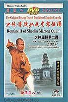 Shaolin Delusive Fist II