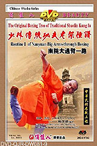 Shaolin South House Big Arm-through Fist I