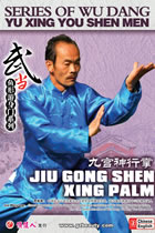 Series of Wu Dang Yu Xing You Shen Men - Jiu Gong Shen Xing Palm